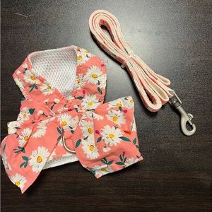 Dog Harness and Leash Set
